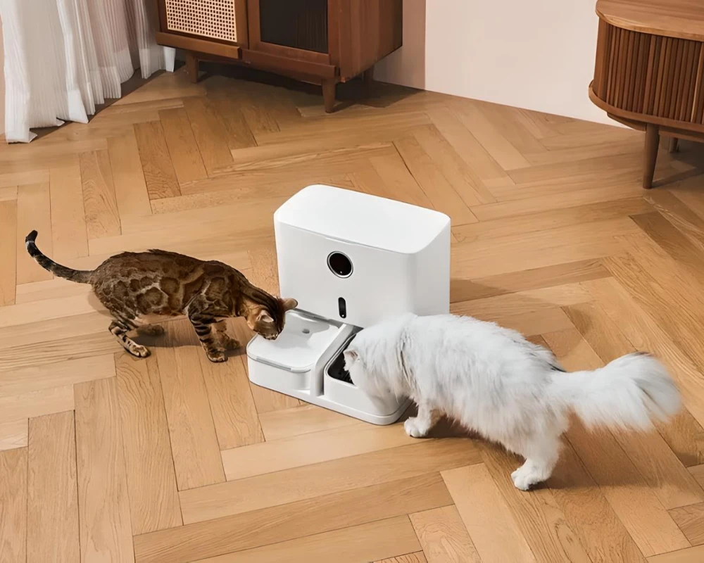 automatic cat feeder with camera